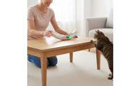Boredom Relief Cat Track Ball Toy Easy Assembly Pet Supplies Quiet Rolling for Kittens