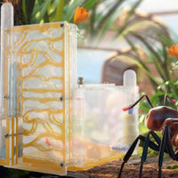 Acrylic Nest Environmentally-Friendly Transparent Nest Expandable Design