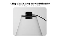With LED Light Micro Landscape Bottle High Clarity Lichen Terrarium Bottle Elegant Design for Hobbyists, Tabletop, Living Room, Bookshelf