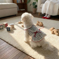 Cute Dog Dress and Cat Dress with Lace Skirt - White Plaid and Lace Skirt - Blue Plaid, Gingham Small Dog Clothes in Dopamine Style for Parties