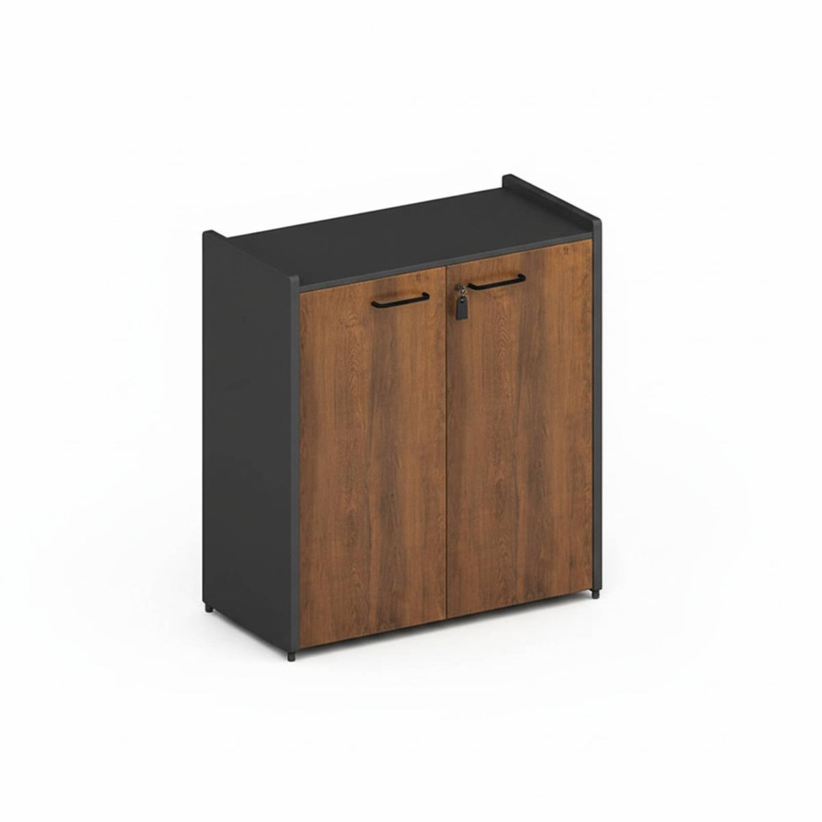 Modern Minimalist Design utilitarian document Credenza Space-Saving Office Furniture Sturdy Frame Storage Cabinet for Remote Workers, Professionals, Students, Workspace, Study Room