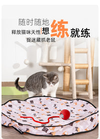 Interactive Cat Toy with Sound and Hide-and-Seek Cover