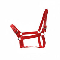Adjustable Horse Halter Easy to Use Nylon Horse Halter Animal Tack for Riding, Training