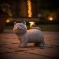 Cat Statue with Butterfly Illuminated Solar Cat Light Decorative for Patio, Lawn