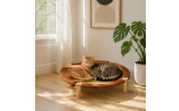 Cooling Cat Bed Wear-Resistant Multi Leveling Cat Bed with Cushion Animal Furniture for Summer