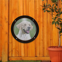 Transparent Pet Window Cover Easy to Clear Pet Window Dome Space Saving for Dogs