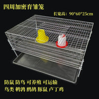 Galvanized Double-Door Wire Cage for Quail, Partridge, and Quail Chicks