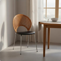 Shell Back Chair Minimalist Design Mid-Century-Century Modern Dining Chair
