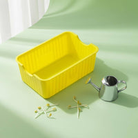 Bean Sprout Grower Box PP Material Soilless Sprout Grower Easy to Observe Feline Greens Planter for Indoor, Kitchen