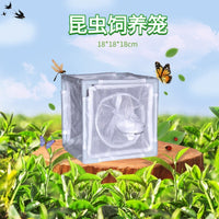 厂家自销纤维杆支架蝴蝶笼昆虫饲养笼单面PVC膜透明实验养纹虫笼