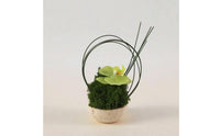 Artificial Orchid in Planter Sculptural Faux Plant with Stone Look Pot Compact