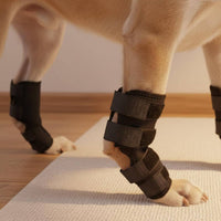 4 Pieces Dog Leg Support Sleeve Pain Relief Hind Leg Support Brace