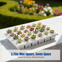Mini Plastic Square Pot, Sprout Tray, Thumb Base Control, Lithops Nursery, Home Gardening