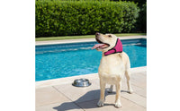 Waterproof Dog Aural Cover Summer Use Pet Accessory Noise Reduction for Swimming