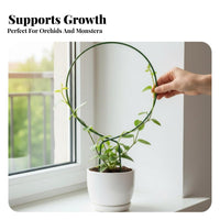 Plant Trellis Rustproof Plant Climbing Frame for Houseplant Enthusiasts, Indoor