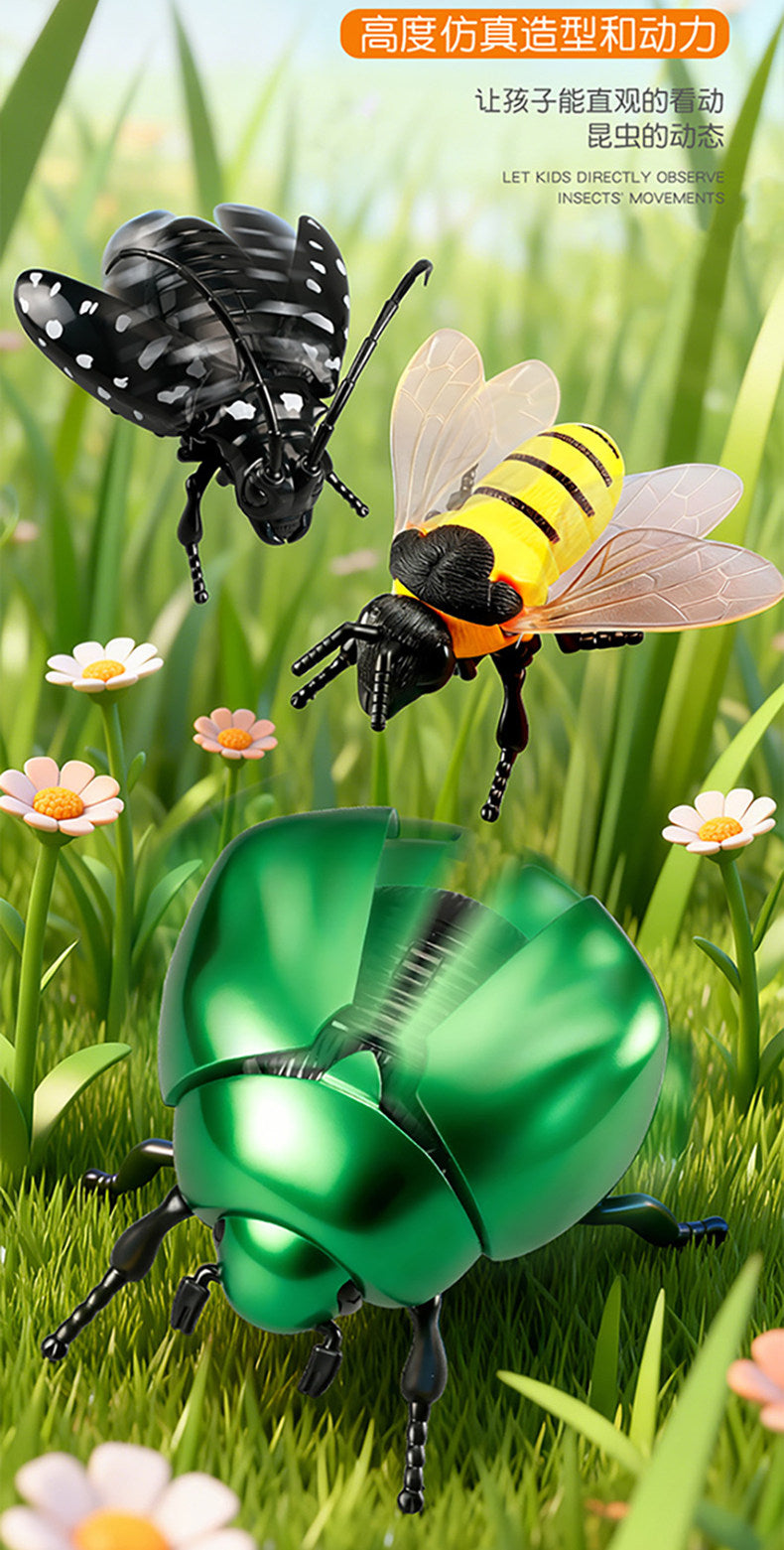 Wind-Up Insect Toy Set for Kids - Cicada, Beetle, Bee, Ladybug, Lantern Bug