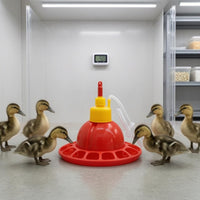 Avian Waterer Watering Container Leak Resistant Farm Supply for Chicks