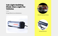 Ultra-bright dual-color LED, 12/24V