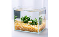 Crystal Chips Natural Aquarium Gravel Decorative for Home Decor