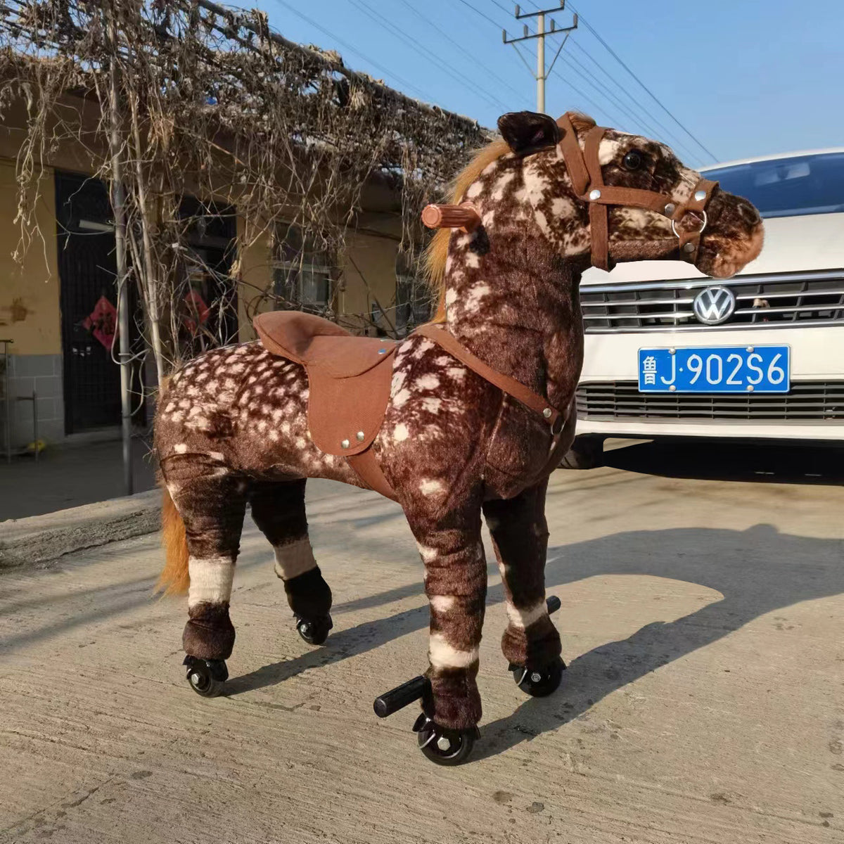 Mongolian Spot