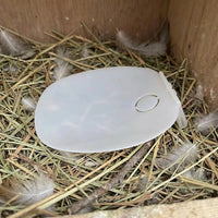 Pigeon Breeding Kit with Avian Water Feeder, Pigeon Automatic Waterer and Fake Eggs, Translucent White Cage Mount Set with Dust Cover