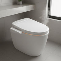 Adjustable Temperature Electric Bidet Seat Self-Cleaning Nozzle Warm Water Bidet Seat Posterior Cleansing Bathroom Fixture