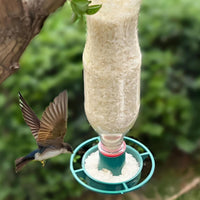 Bottle Top Bird Feeder Easy to Install Plastic Bird Feeder Environmentally