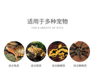 乌龟专用带隔板冬眠盒恒温饲养箱保温冬眠窝苔藓椰土材料套装用品