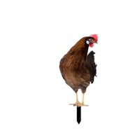 Chicken Garden Stake Outdoor Chicken Yard Art Cute for Flower Bed