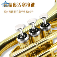 音芬特正品手掌号  初学者成人儿童袖珍小号  专业手掌号