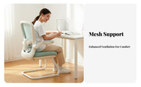 Ergonomic Design Mesh rear Sled Base Chair assistance Sled Base Armchair Padded Seat Office Furniture Easy to Assemble for Students, Home Users, Conference Attendees, Study, Bedroom, Reception Area, Waiting Room