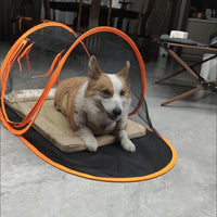 宠物帐篷户外狗帐篷露营猫狗帐篷便携式可折叠宠物狗狗帐篷