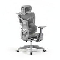 Ergonomic Mesh Chair with Headrest Retractable Footrest Computer Seat Heavy Duty