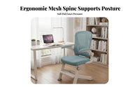 Adjustable Ergonomic Student Chair Saddle-Shaped pad Office Furniture