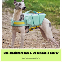 Dog Life Jacket: swim safety