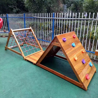 幼儿园木质滑梯黄花梨攀爬架儿童荡桥钻洞实木户外训练组合玩具