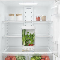 Hydroponic Greens Keeper Fresh Greens Storage Container with Ventilated Base