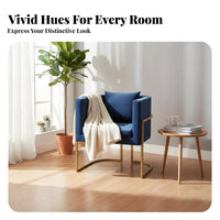 Scalloped Back Armchair Light Luxury Single Sofa Nordic Design Designer Style for Readers, Business Owners, Cafe, Reception Area
