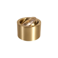 Brass Adjustable LED Spotlight