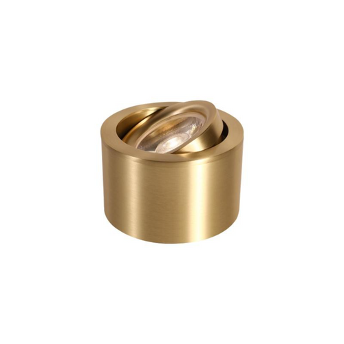 Brass Adjustable LED Spotlight