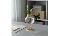 Water-Based Glass Vase Minimalist Design Wrought Iron Glass Planter Visible Underground Part Growth Tabletop Water-Based Vase for Beginners