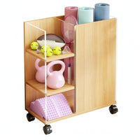 Sports Storage Cabinet Accessible Shelves Mobile Storage Cabinet Caster Wheels