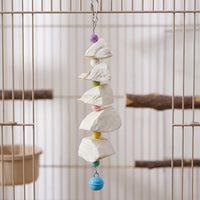 Parrot gnaw Toy with Bell, Hanging Bird Toy for oral Care, Enrichment avian snack for Birds, Parrot Accessories