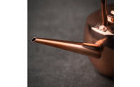 Kettle with Long Spout Classic Tea Kettle Vessel for Home