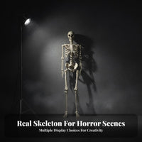 Full Body Skeleton Decoration Easy to Hang Hanging Skeleton Ornament for Yard