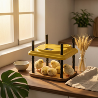 Glowing Chick Heater Wireless Controller Control Adjustable Heating Plate Poultry Brooder Yellow Farm Supply Portable for Chicks
