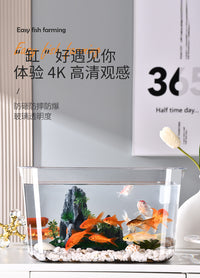 Plastic Desktop Small Fish Tank with Green Plant Lid Transparent Aquarium for Goldfish Turtle