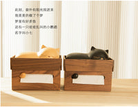 安睡的猫实木纸巾盒侧抽式卡通可爱客厅餐桌抽纸盒桌面收纳卫生纸