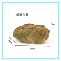 Resin Aquarium Bridge Ornament with Turtle Climbing Platform and Dinosaur Fossil Decor