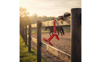Adjustable Horse Halter Easy to Use Nylon Horse Halter Animal Tack for Riding, Training